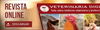 banner-movil-es