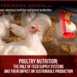 Poultry Nutrition: the role of feed supply systems and their impact on sustainable production
