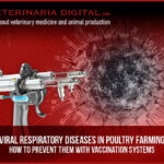 Viral respiratory diseases in poultry farming: How to prevent them with vaccination systems